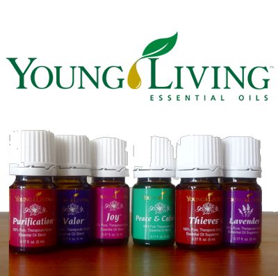 Learn how Essential Oils can enhance your life with Dina Voigt Saturday, December 10th.