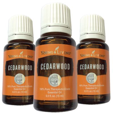 Cedarwood Essential Oil