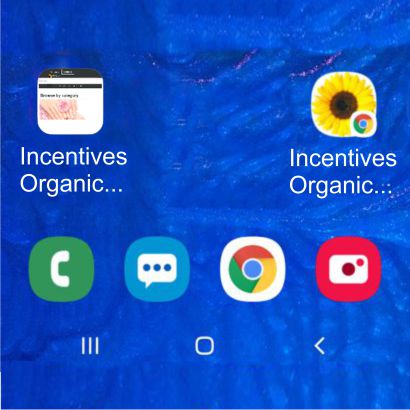 Both Icons