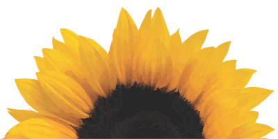 half sunflower accent_NoBG