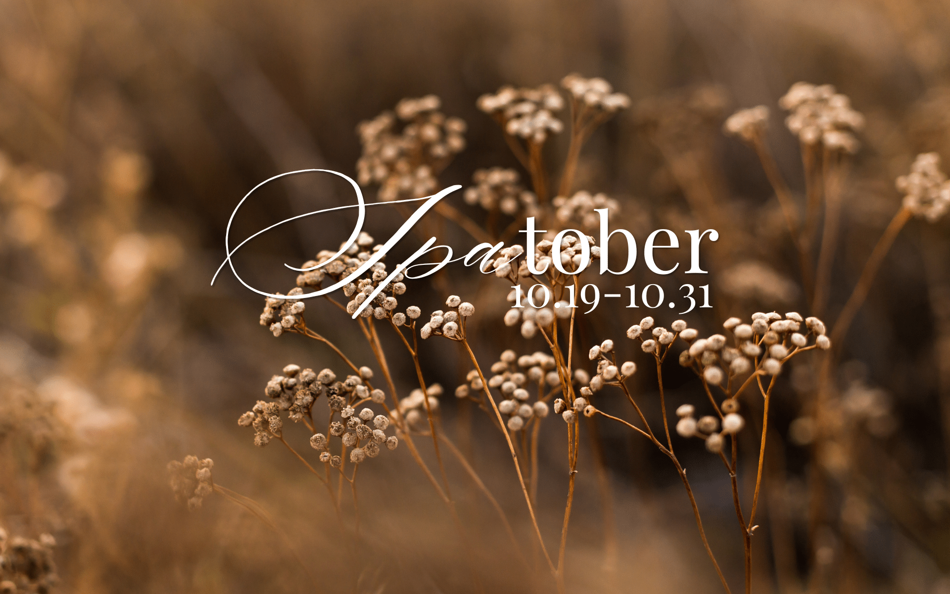 Spatober 1